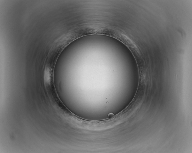 X0000113030026200908271504