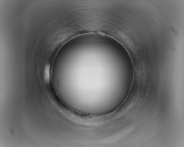 X0000113030028200908271504