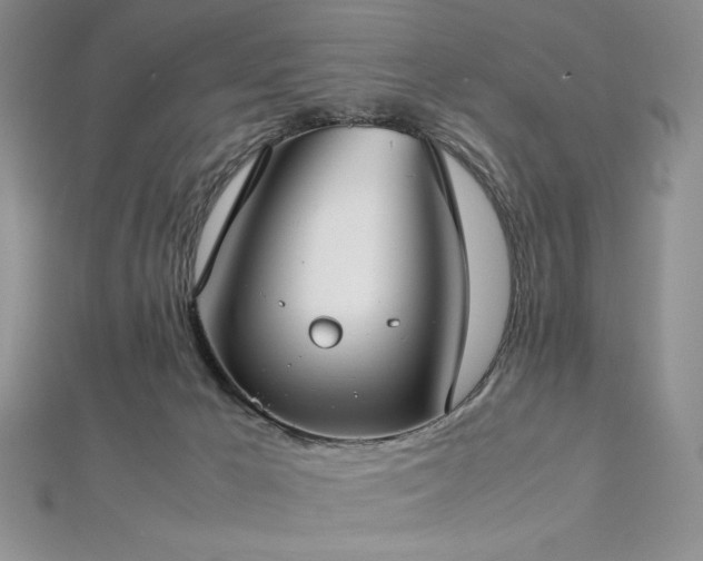 X0000113030029200908271504