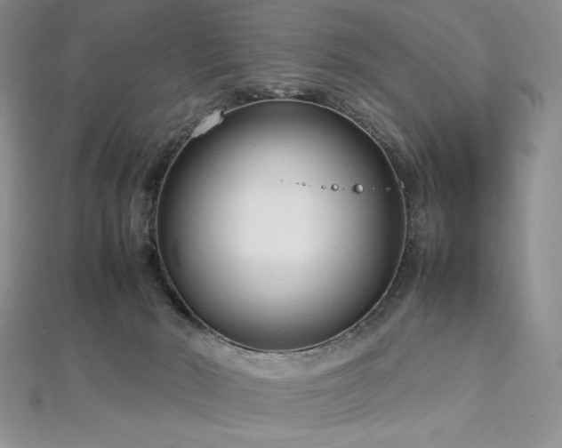 X0000113030030200908271504