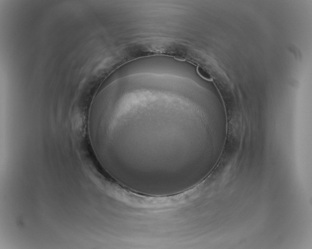 X0000113030031200908271504