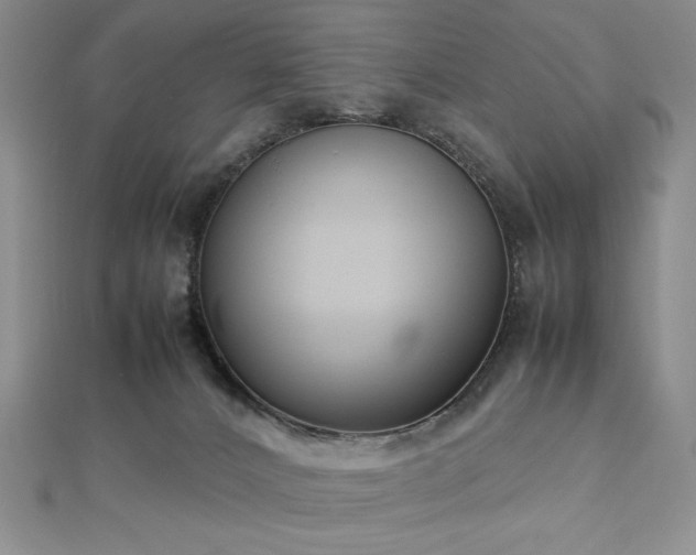 X0000113030032200908271504