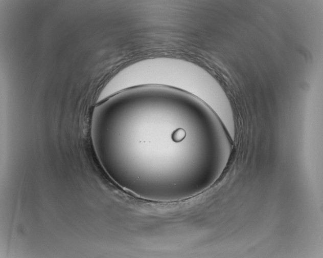 X0000113030033200908271504