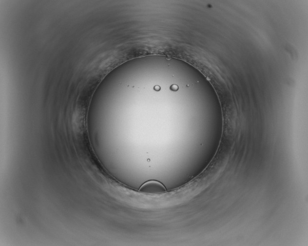 X0000113030034200908271504