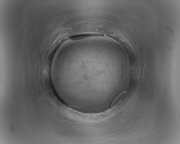 X0000113030035200908271504