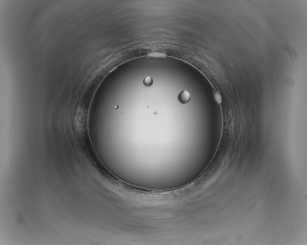 X0000113030036200908271504