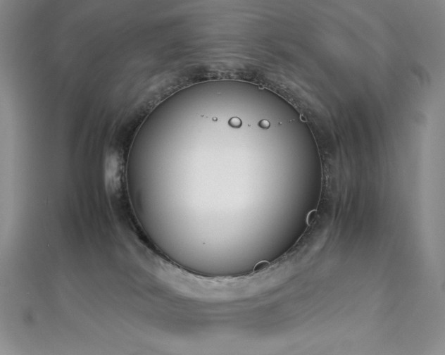 X0000113030038200908271504