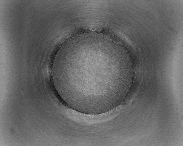 X0000113030039200908271504