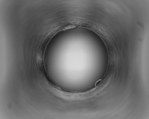 X0000113030040200908271504