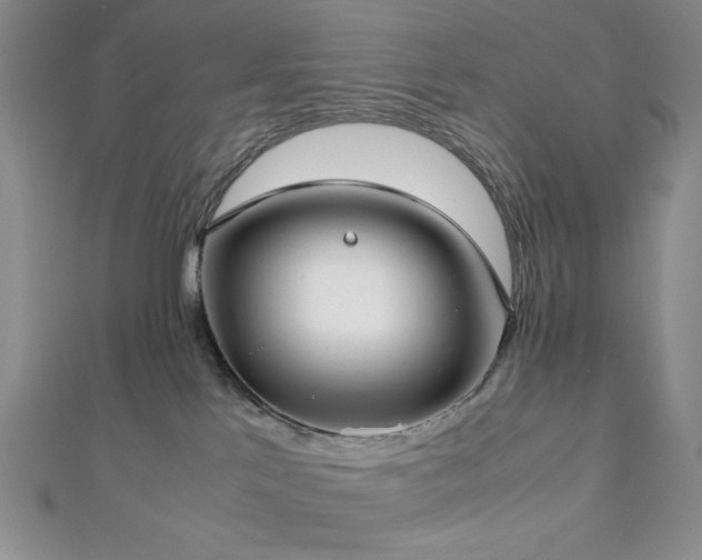 X0000113030041200908271504