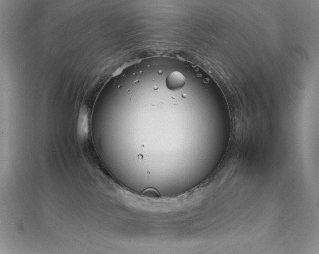 X0000113030042200908271504