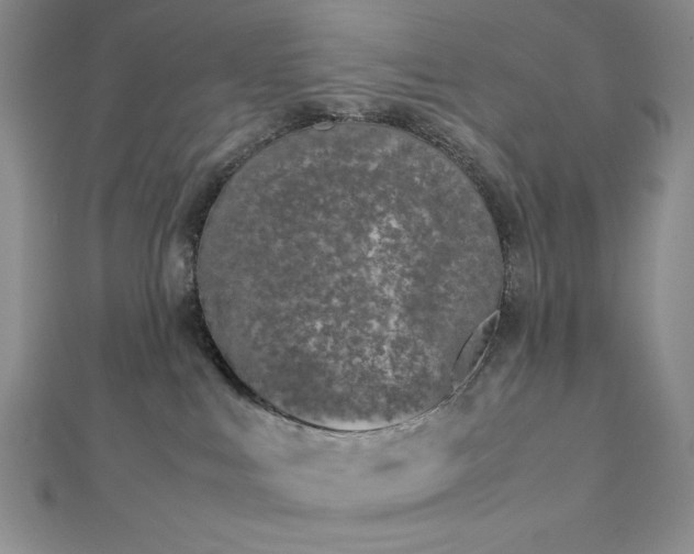 X0000113030043200908271504