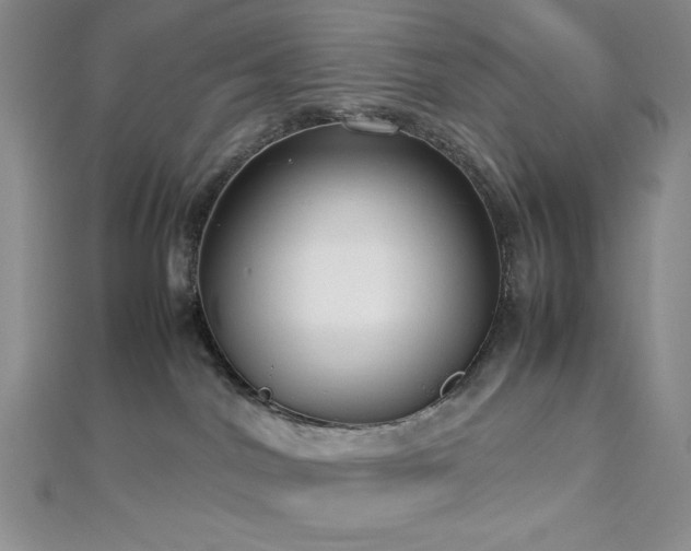 X0000113030044200908271504