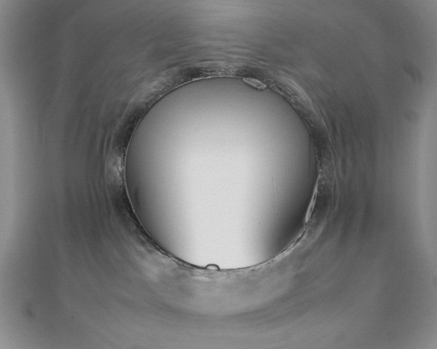 X0000113030045200908271504