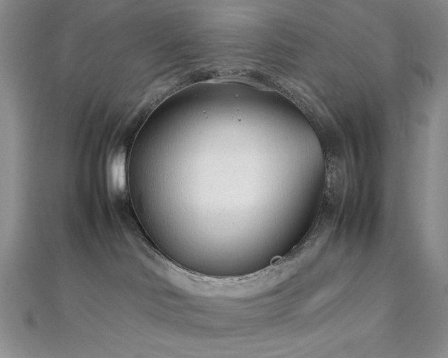 X0000113030046200908271504