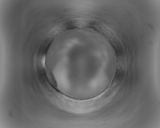 X0000113030047200908271504