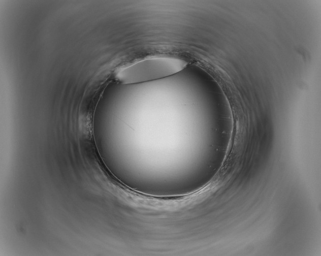 X0000113030048200908271504