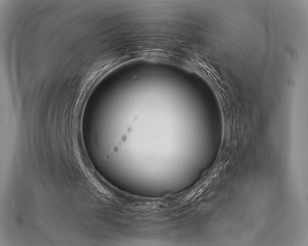 X0000113030049200908271503