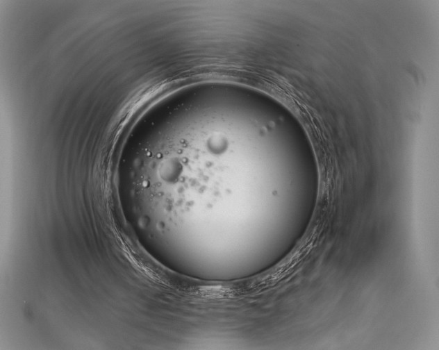 X0000113030050200908271503