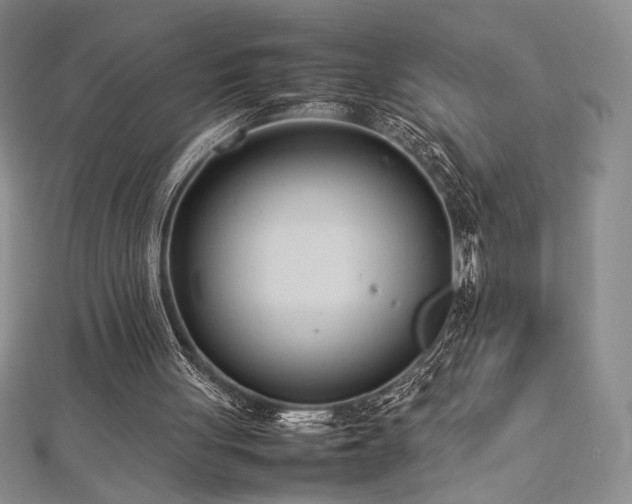 X0000113030051200908271503