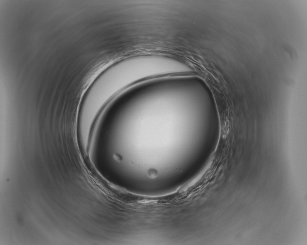 X0000113030052200908271503