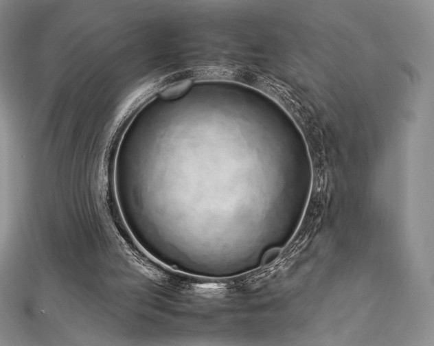 X0000113030053200908271503