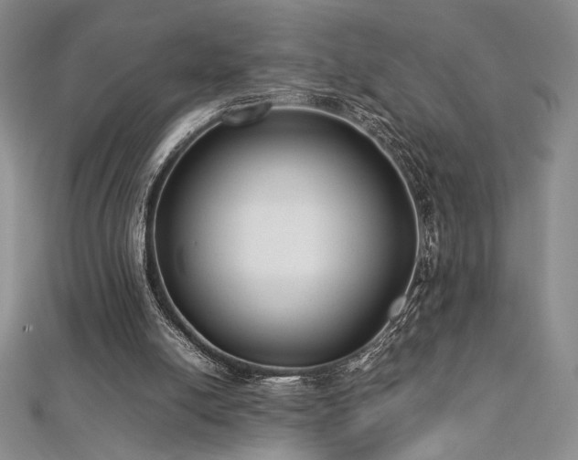 X0000113030054200908271503