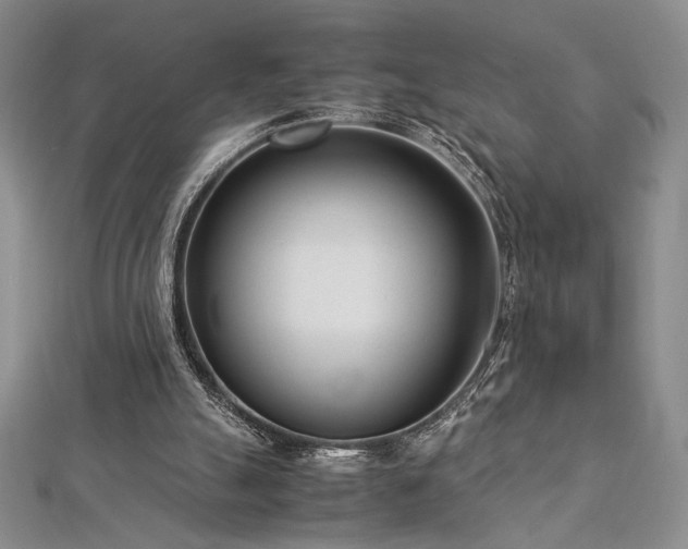 X0000113030055200908271503