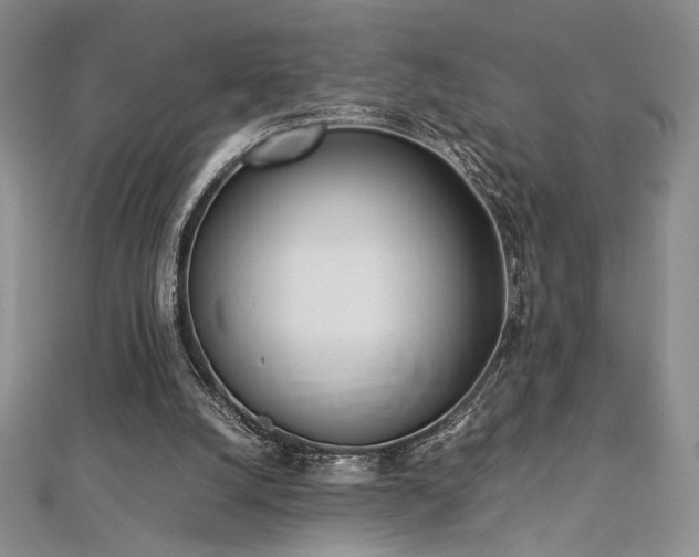 X0000113030056200908271503