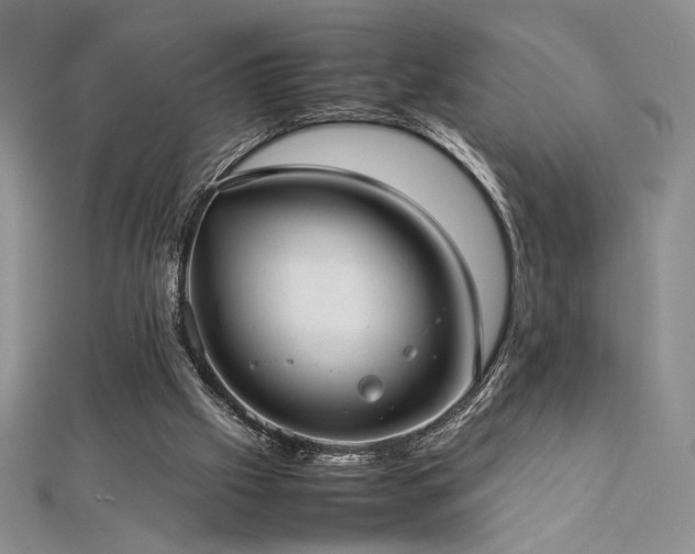 X0000113030057200908271503