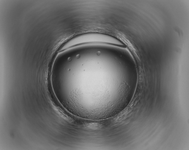 X0000113030058200908271503