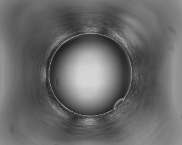 X0000113030059200908271503