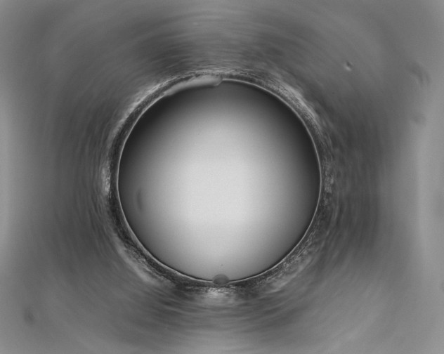 X0000113030060200908271503