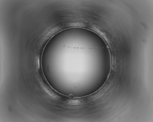 X0000113030061200908271503