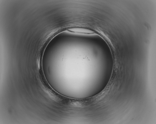 X0000113030062200908271503