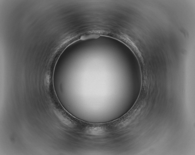 X0000113030063200908271503