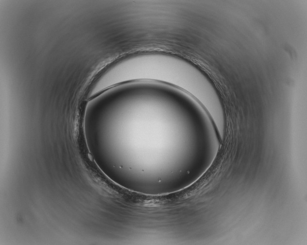 X0000113030064200908271503