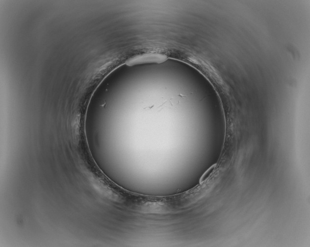 X0000113030066200908271503