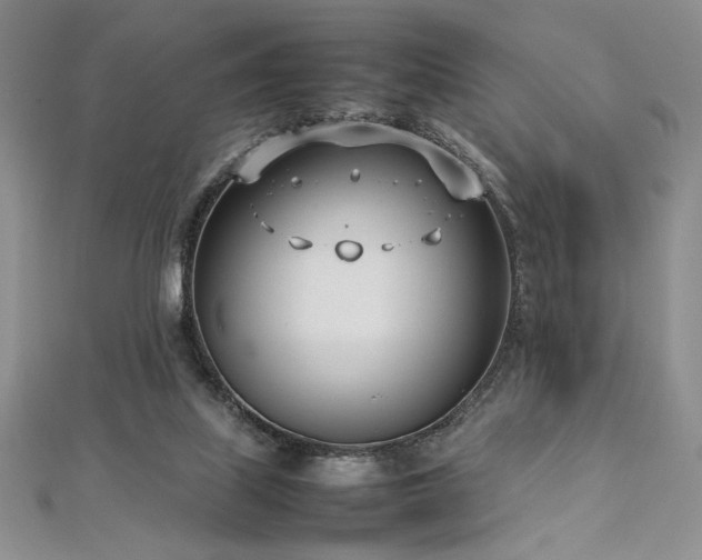 X0000113030067200908271503