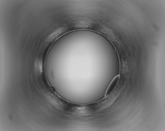 X0000113030068200908271503