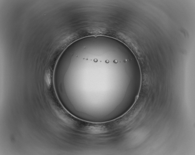 X0000113030069200908271503