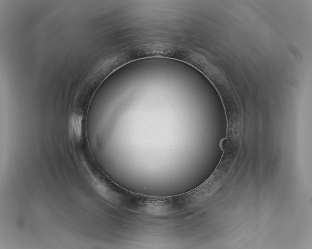 X0000113030070200908271503