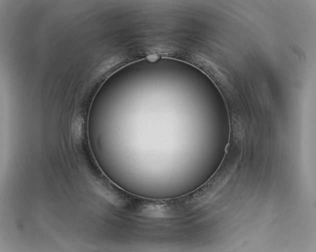 X0000113030071200908271504