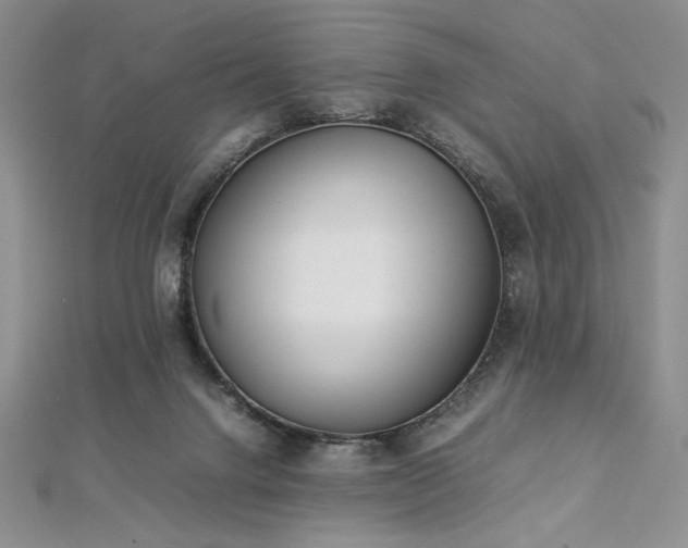 X0000113030072200908271504