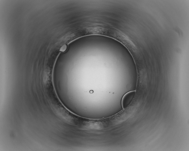 X0000113030073200908271504