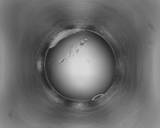 X0000113030074200908271504