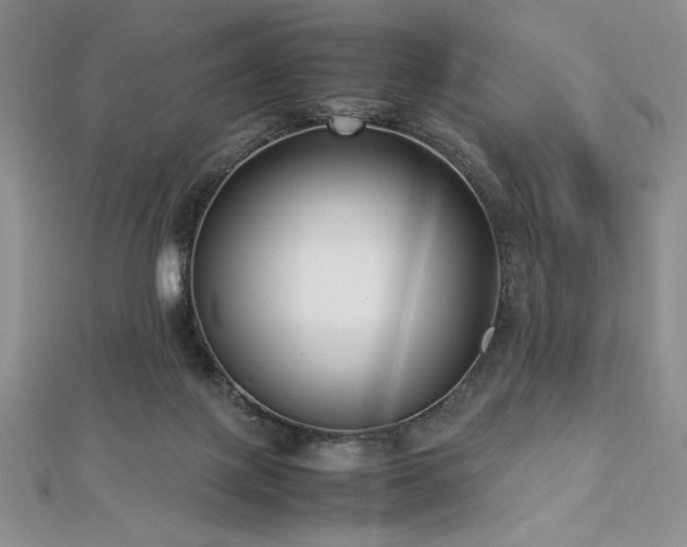 X0000113030075200908271504