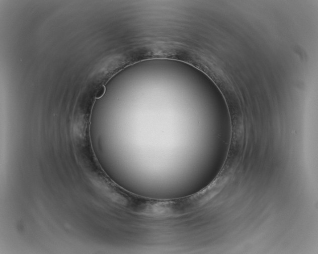 X0000113030078200908271504