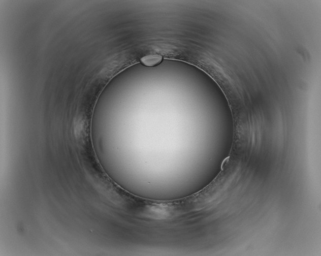 X0000113030079200908271504