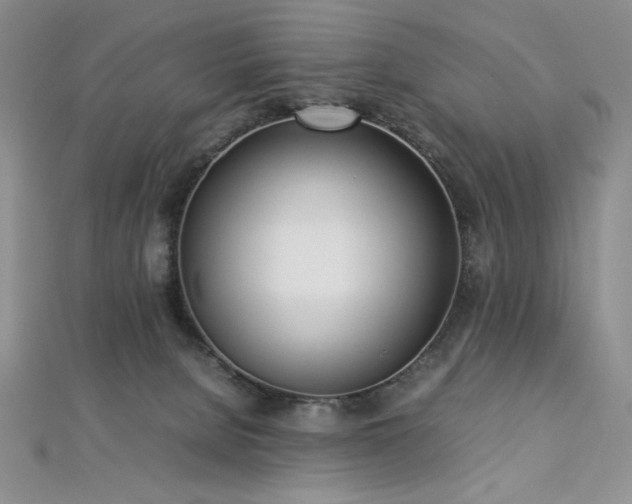 X0000113030080200908271504